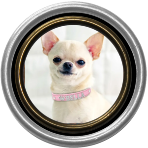 Customizable Pet Supplies