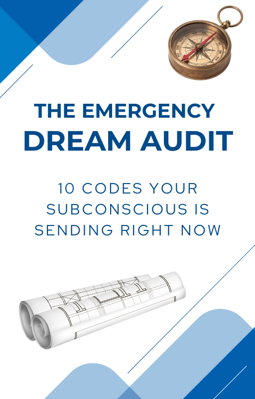 THE EMERGENCY DREAM AUDIT