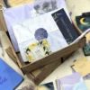 dream-box delivered in Limpopo