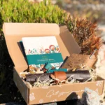 fynbos-box-fast local delivery in Limpopo