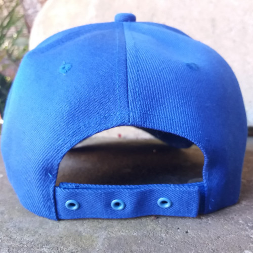 Royal Blue & Light Pink Grommet Custom Cap (6)