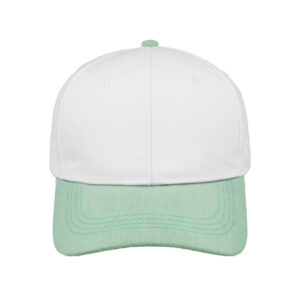 SA Two-Tone 6 Panel Cap - White/Sage