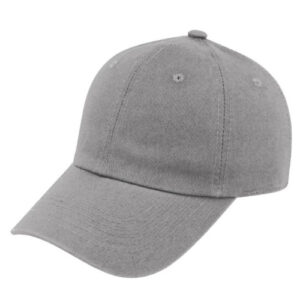 the-bark-6-panel-cap-grey