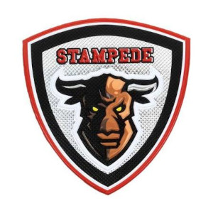 tpu-patch-3